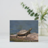 Schildschildpad op een tak briefkaart (Staand voorkant)
