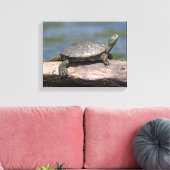 Schildschildpad op een zonnige dag canvas afdruk (Insitu (Woonkamer))