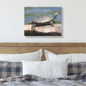 Schildschildpad op een zonnige dag canvas afdruk (Insitu (Slaapkamer))