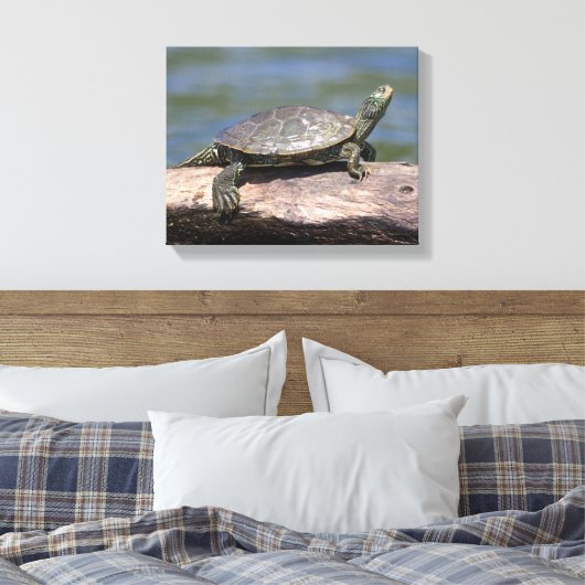 Schildschildpad op een zonnige dag canvas afdruk (Insitu (Slaapkamer))