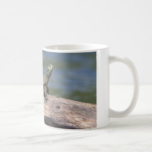Schildschildpad op een zonnige dag koffiemok