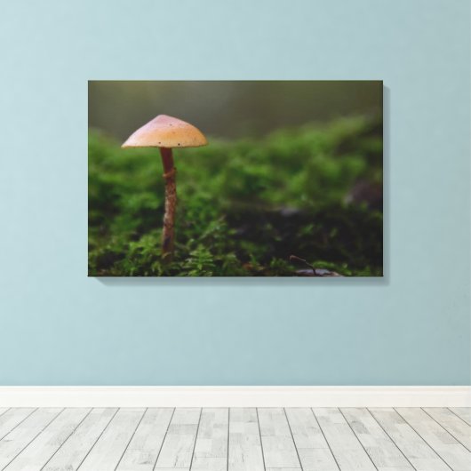 Schimmel in de groene mos canvas print (Insitu (Houten vloer))