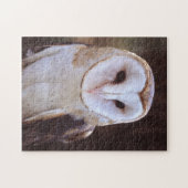 schimmeluil legpuzzel (Horizontaal)