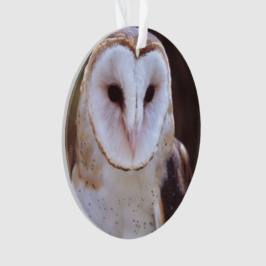 schimmeluil ornament (voorkant)