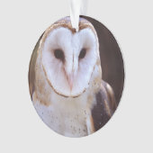 schimmeluil ornament (voorkant)