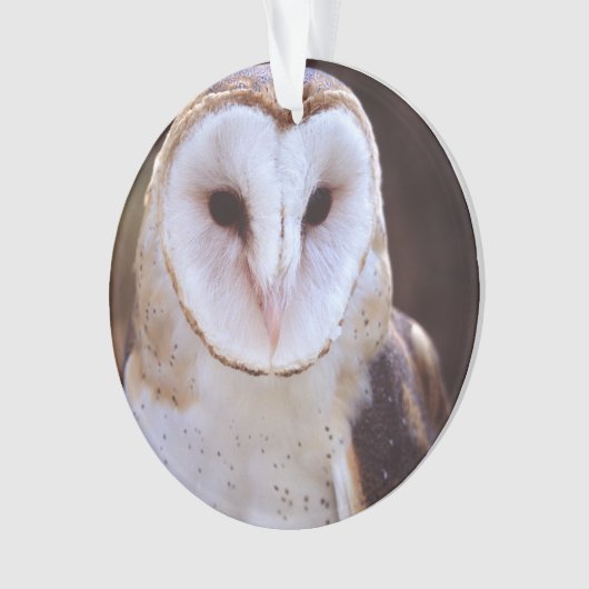 schimmeluil ornament (voorkant)