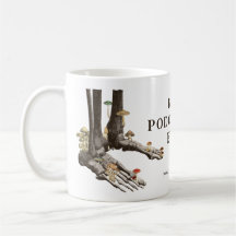  schimmelwerende skelet Beste podoloog ooit