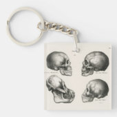 Schinz de Visser Human Monkey en Ape Skulls Sleutelhanger (voorkant)