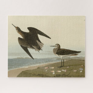 Schinz's Sandpiper uit Audubon's Birds of America Legpuzzel