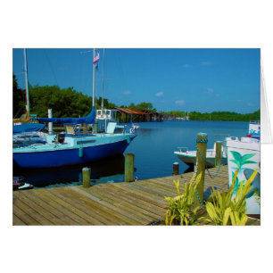 schip-florida
