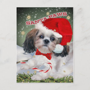 Schip Tzu Santa Paws-cadeaus Feestdagenkaart