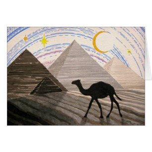 Schip van de woestijn