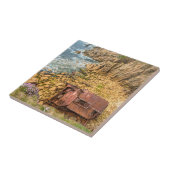 schipbreuk RMS Mulheim Lands End Cornwall Tegeltje (Zijkant)