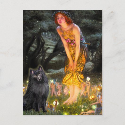 Schipperke 2 - MidEve Briefkaart (Voorkant)