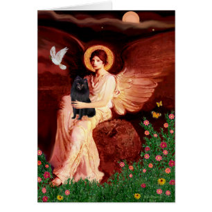 Schipperke 2 - Seated Angel