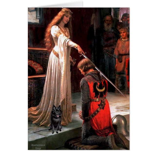 Schipperke 4 - De onderscheiding (Voorkant)