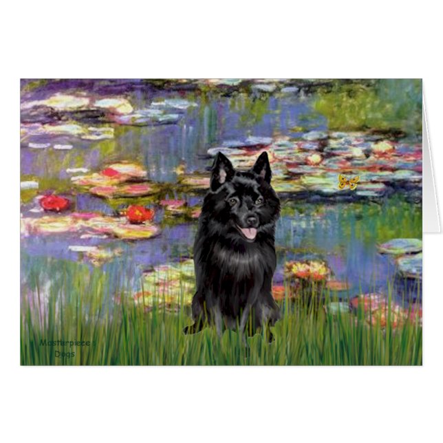 Schipperke 4 - Lilies 2 (Voorkant Horizontaal)