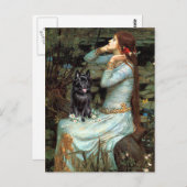 Schipperke 4 - Ophelia Seated Briefkaart (Voorkant / Achterkant)