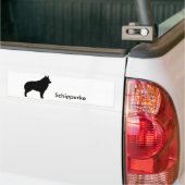 Schipperke Bumpersticker 1 (Op Truck)