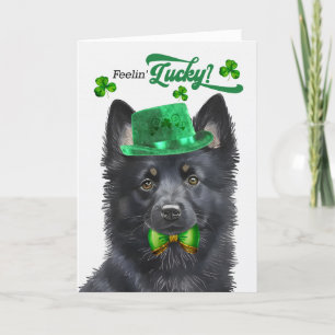 Schipperke Dog Feelin' Lucky St Patrick's Day Feestdagen Kaart
