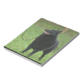 Schipperke Dog Notitieblok (Gedraaid)