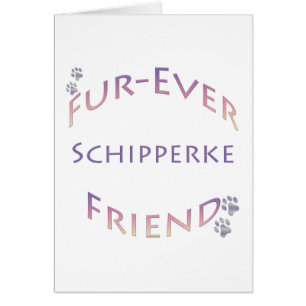 Schipperke Furever Vriend