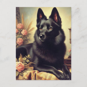 Schipperke Hondenschilderij Briefkaart