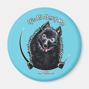 Schipperke IAAM Magneet
