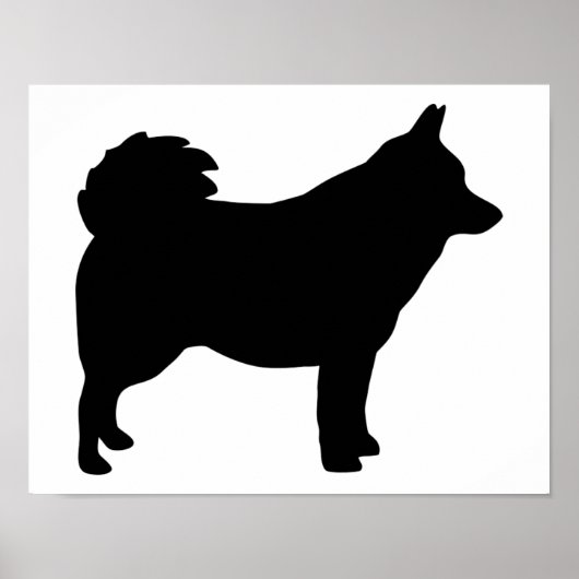Schipperke Poster (Voorkant)
