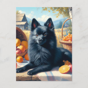  Schipperke Puppy Schilderij Briefkaart