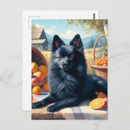 Schipperke Puppy Schilderij Briefkaart (Voorkant / Achterkant)