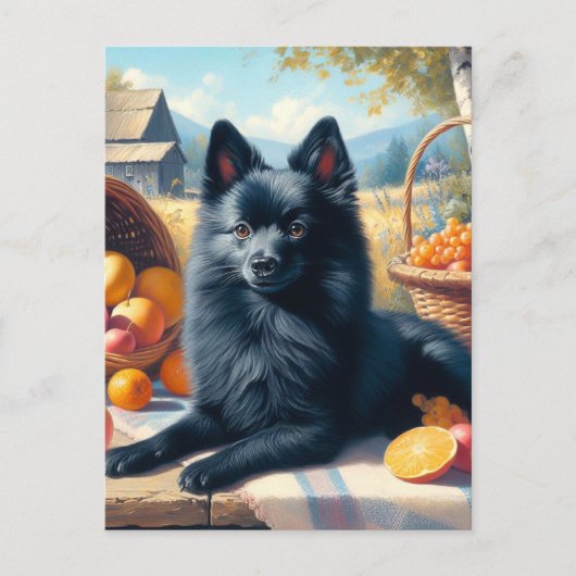 Schipperke Puppy Schilderij Briefkaart (Voorkant)