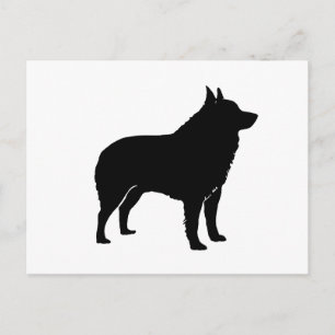 Schipperke silhouette.png briefkaart