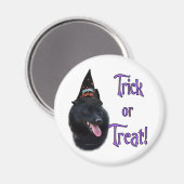 Schipperke Trick Magneet (Voorkant / Achterkant)