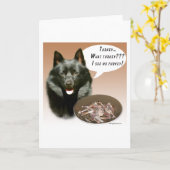 Schipperke Turkije Kaart (Gele Bloem)