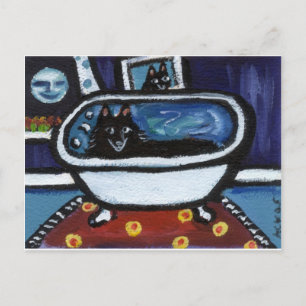 Schipperke-waterbad Briefkaart