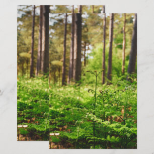 Schitterend bos briefpapier