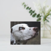 Schitterend bruin en wit Dalmatiaans Briefkaart (Staand voorkant)