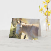 Schitterend Donkey-Wenskaart Kaart (Gele Bloem)