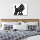Schitterend, getrimd, zwart, compleet poebellichaa canvas afdruk (Insitu (Slaapkamer))