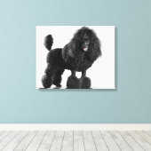 Schitterend, getrimd, zwart, compleet poebellichaa canvas afdruk (Insitu (Houten vloer))