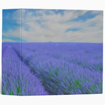 Schitterend landschap van lavendervelden