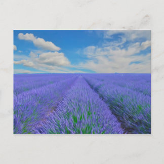 Schitterend landschap van lavendervelden briefkaart