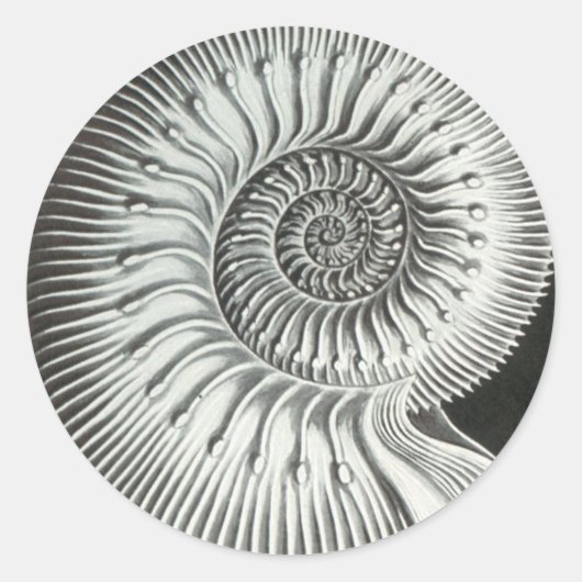 Schitterend opbergvak voor het afbeelding van ammo ronde sticker (Voorkant)