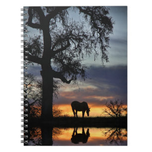 Schitterend paard en water in de zon notitieboek