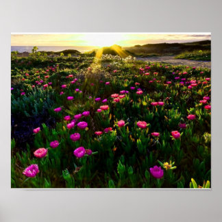 Schitterend poster voor de zon