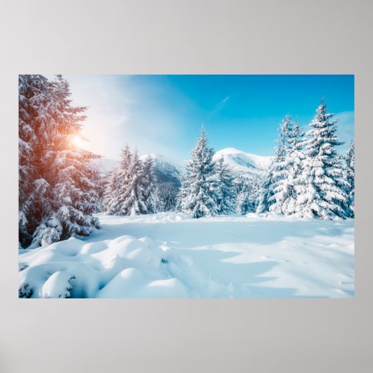 Schitterend winterlandschap in de natuur, verbluff poster (Voorkant)
