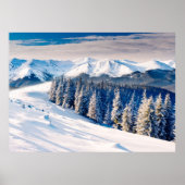 Schitterend winterlandschap met sneeuwbedekte bome poster (Voorkant)