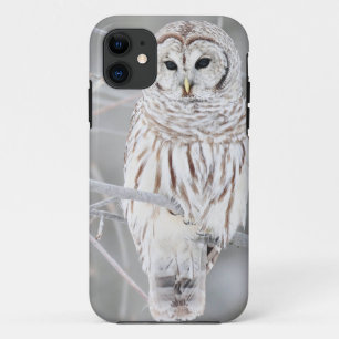 Schitterend wit ontwerp voor de sneeuwknol iPhone 11 hoesje