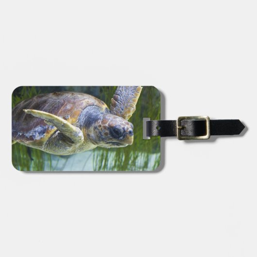 Schitterend Zee Schorrelschoppen Bagagelabel (Voorkant horizontaal)